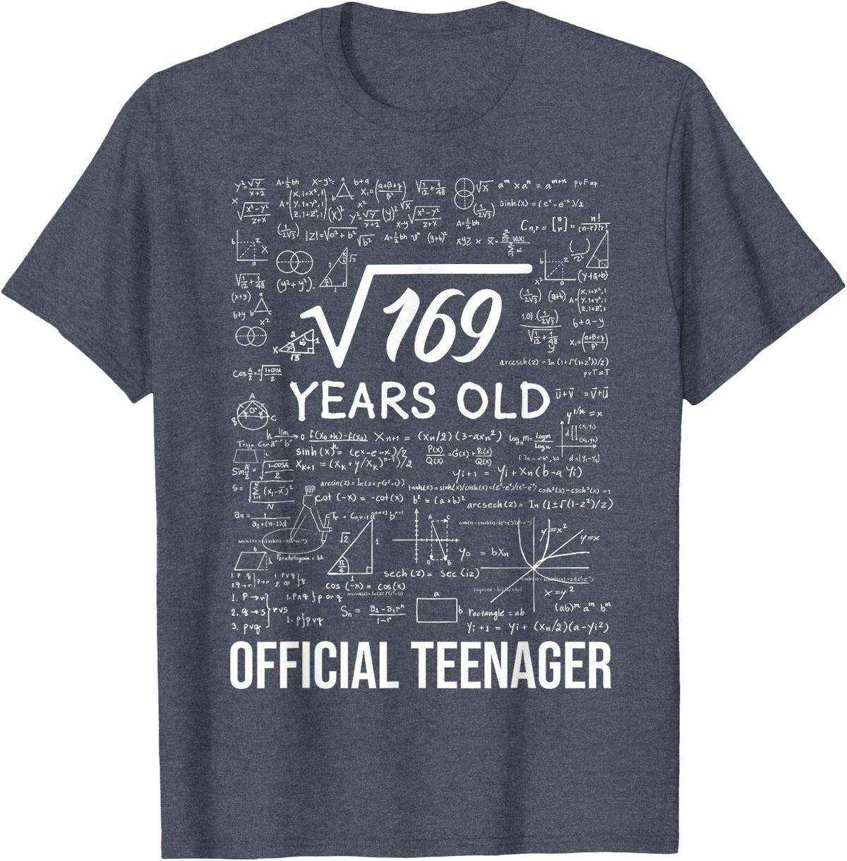 13 Birthday Official Teenager Boy 13yr Math 13th Birthday T-Shirt