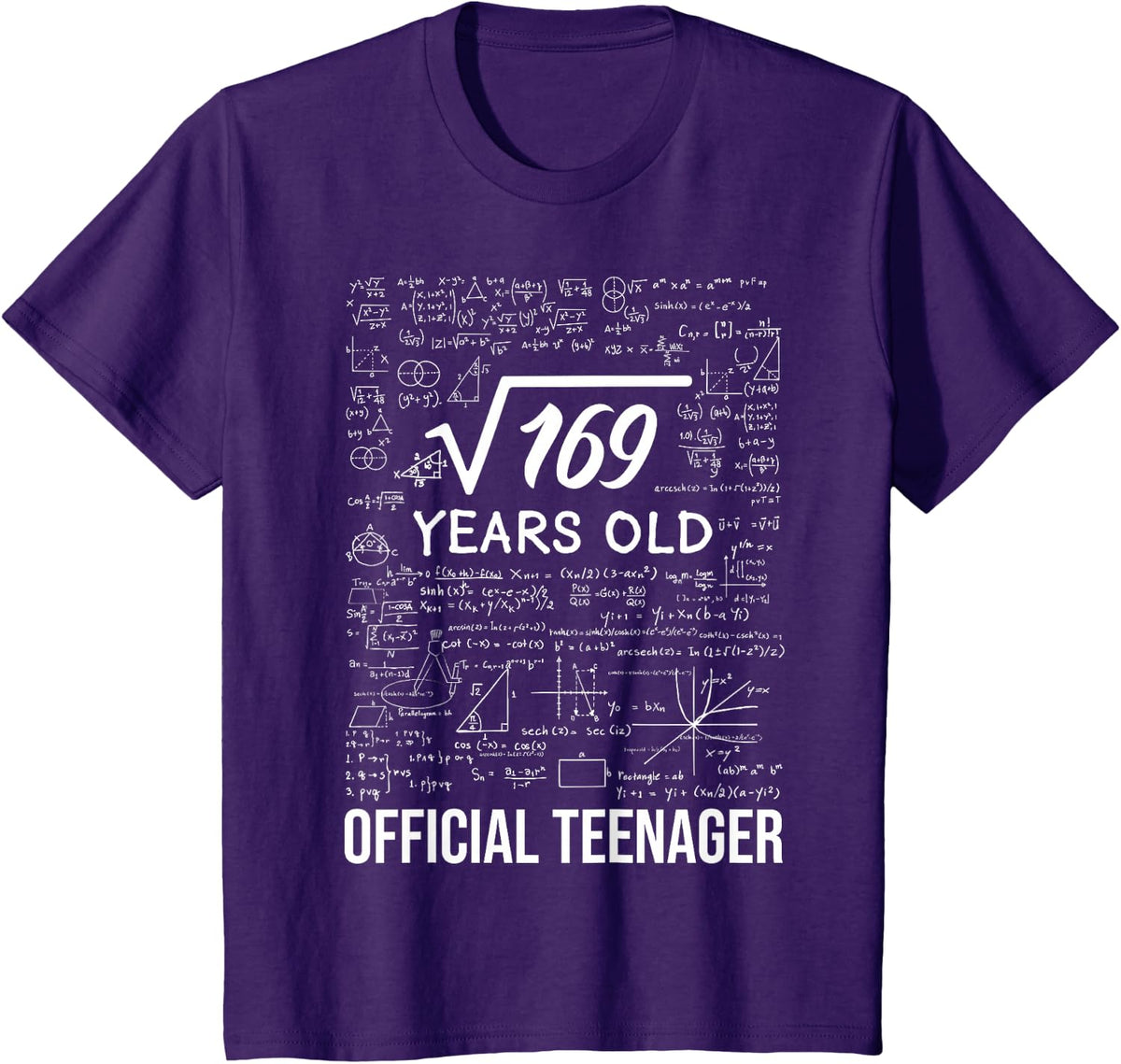 13 Birthday Official Teenager Boy 13yr Math 13th Birthday T-Shirt